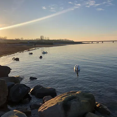 Neues An Der Ostsee Mit Sauna,kamin Und Garten Semesterbostad Osdorf