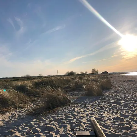 Semesterbostad Neues An Der Ostsee Mit Sauna,kamin Und Garten Osdorf